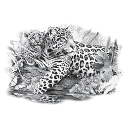 JAGUAR MOM CUB 13441SA2.gif